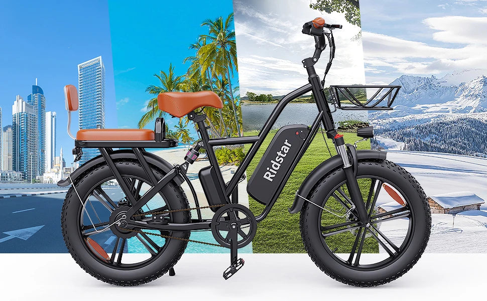 Ridstar FM-001 Electric Bicycle 1000W 48V 15AH Road City Ebike for Adult 20Inch Fat Tire  Beach Mountain With Backseat Cycling